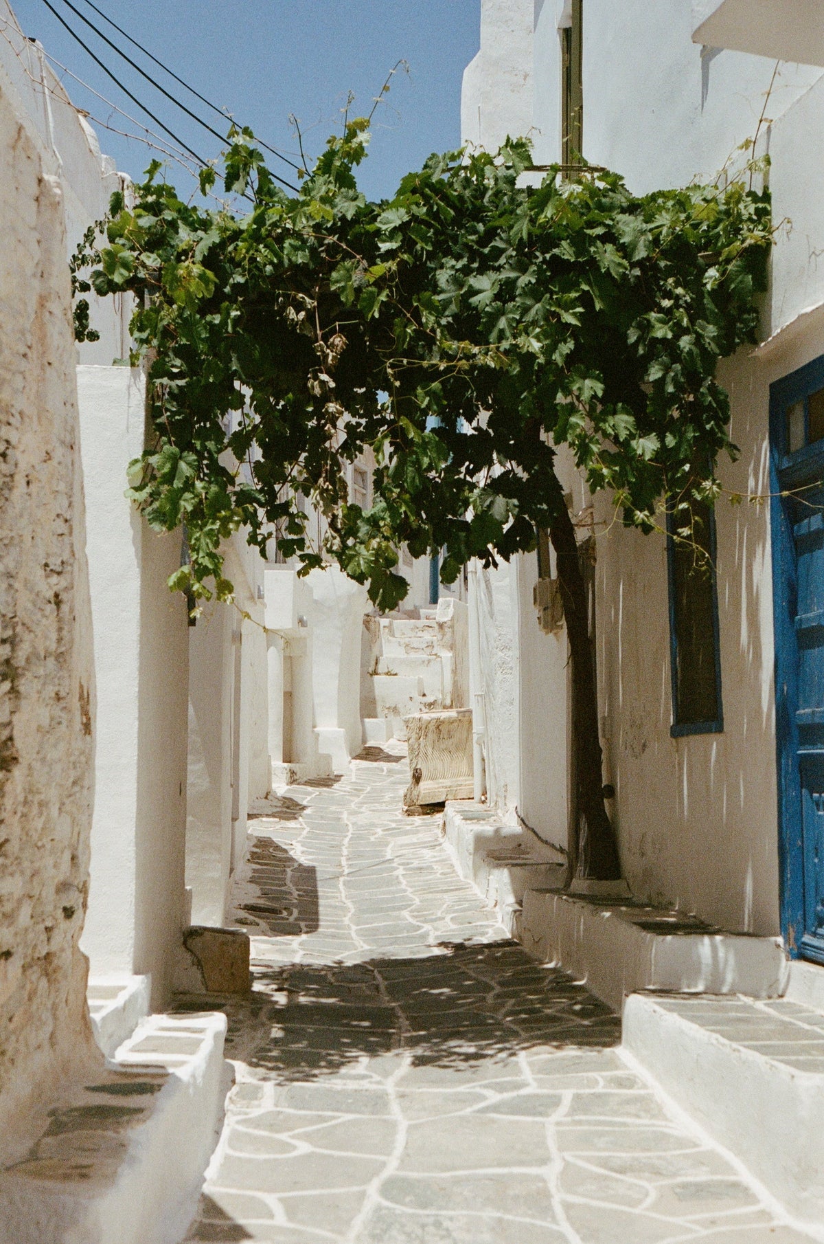 The Sifnos Travel Guide