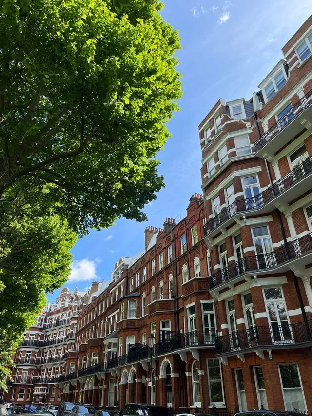 The London Travel Guide